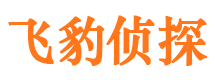 横峰飞豹私家侦探公司